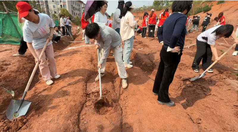 衡陽幼兒師范高等?？茖W(xué)校開展“綠色校園·黨員先行”植樹活動(dòng)