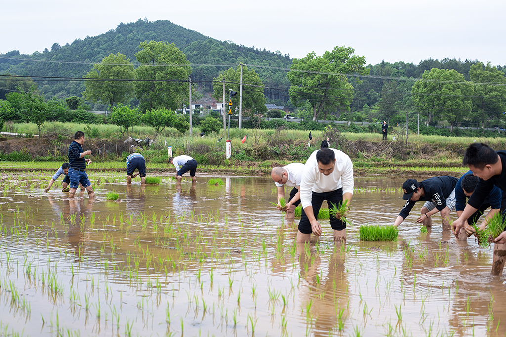 主題黨日創(chuàng)新意 田間地頭鬧春耕